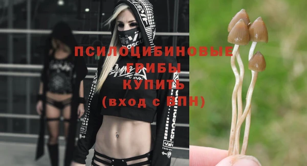 Альфа ПВП Вязники