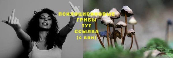 кристаллы Вяземский