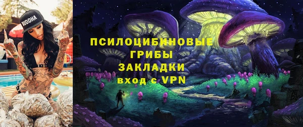 кристаллы Вяземский