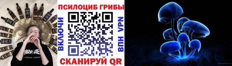 Галлюциногенные грибы Magic Shrooms  маркетплейс как зайти  Электросталь 